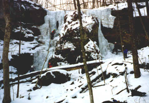 COXHOL.JPG (288400 bytes)