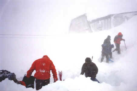 DIG-OUT.JPG (162112 bytes)