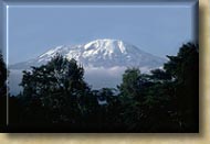 Kilimanjaro