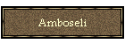 Amboseli