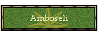 Amboseli