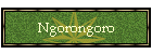 Ngorongoro