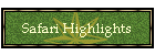 Safari Highlights